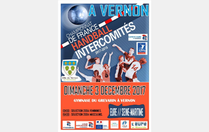 Championnat de France intercomités 